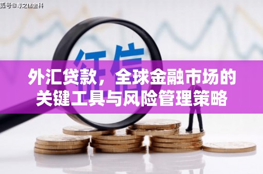 黔西外汇贷款，全球金融市场的关键工具与风险管理策略