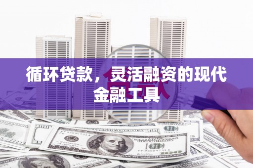 黔西循环贷款，灵活融资的现代金融工具