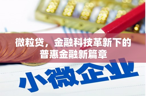 黔西微粒贷，金融科技革新下的普惠金融新篇章