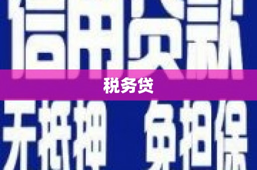 黔西税务贷