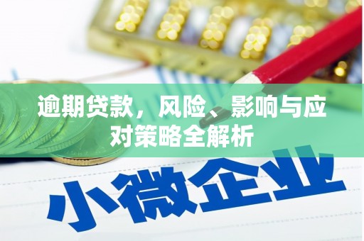 黔西逾期贷款，风险、影响与应对策略全解析