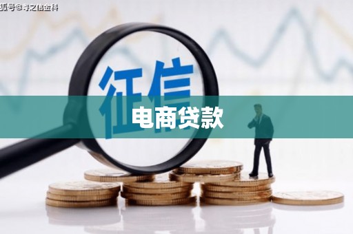 黔西电商贷款