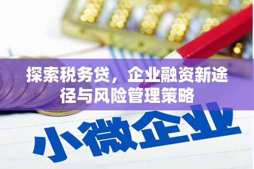 黔西探索税务贷，企业融资新途径与风险管理策略