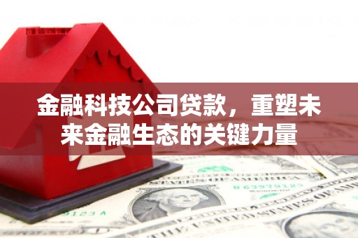 黔西金融科技公司贷款，重塑未来金融生态的关键力量