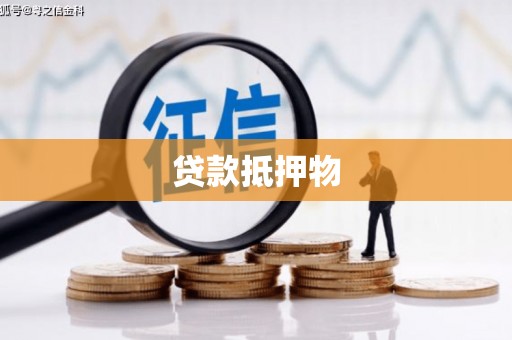 黔西贷款抵押物