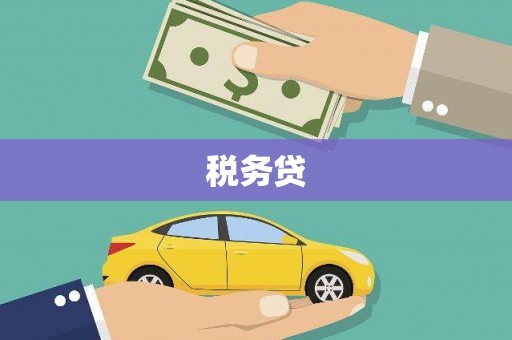 黔西税务贷