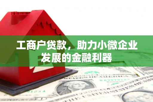 黔西工商户贷款，助力小微企业发展的金融利器