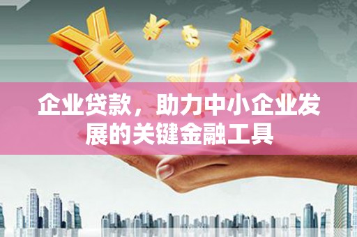 黔西企业贷款，助力中小企业发展的关键金融工具