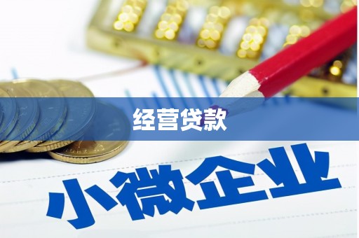 黔西经营贷款