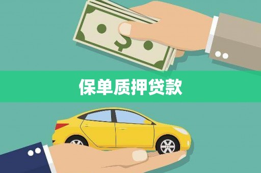 黔西保单质押贷款