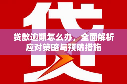 黔西贷款逾期怎么办，全面解析应对策略与预防措施