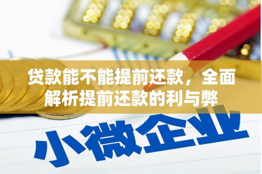 黔西贷款能不能提前还款，全面解析提前还款的利与弊
