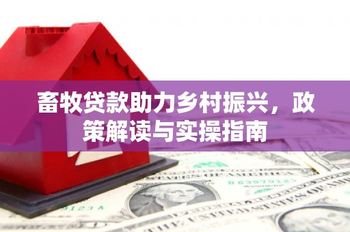 黔西畜牧贷款助力乡村振兴，政策解读与实操指南