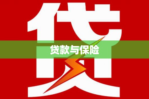 黔西贷款与保险