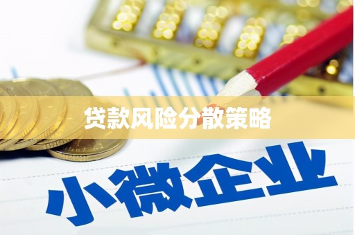 黔西贷款风险分散策略