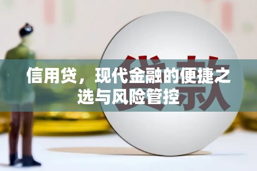 黔西信用贷，现代金融的便捷之选与风险管控