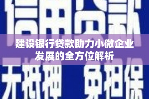 黔西建设银行贷款助力小微企业发展的全方位解析