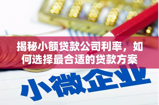 黔西揭秘小额贷款公司利率，如何选择最合适的贷款方案