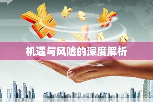 黔西机遇与风险的深度解析