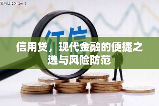 黔西信用贷，现代金融的便捷之选与风险防范