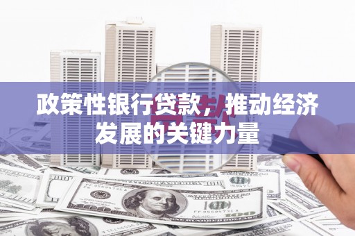黔西政策性银行贷款，推动经济发展的关键力量