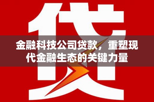黔西金融科技公司贷款，重塑现代金融生态的关键力量