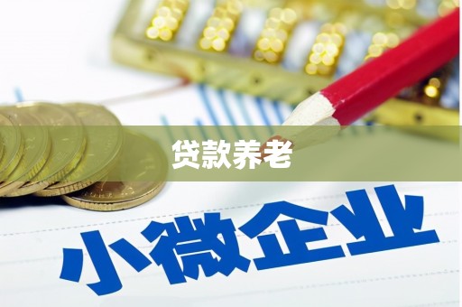 黔西贷款养老