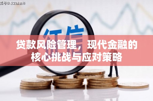 黔西贷款风险管理，现代金融的核心挑战与应对策略