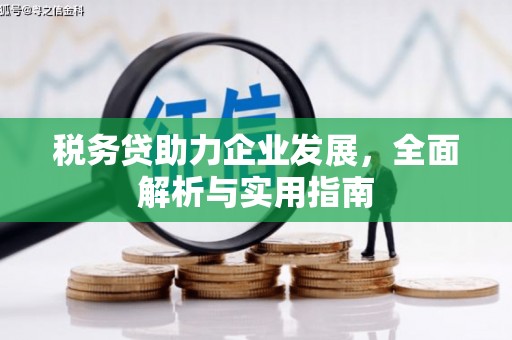 黔西税务贷助力企业发展，全面解析与实用指南