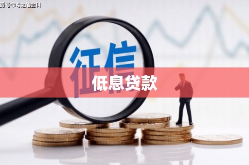 黔西低息贷款