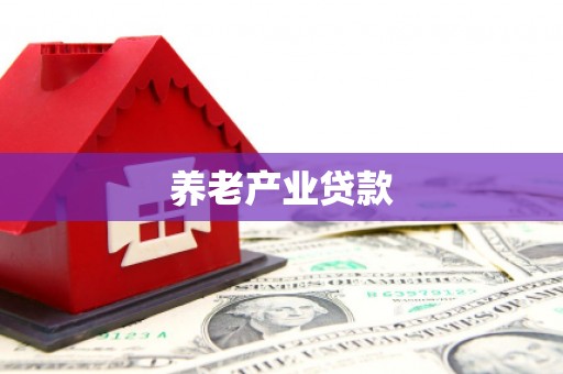 黔西养老产业贷款