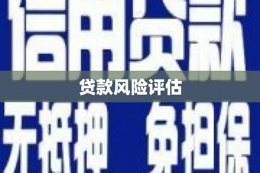 黔西贷款风险评估