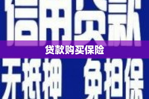 黔西贷款购买保险