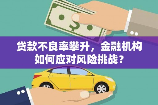 黔西贷款不良率攀升，金融机构如何应对风险挑战？