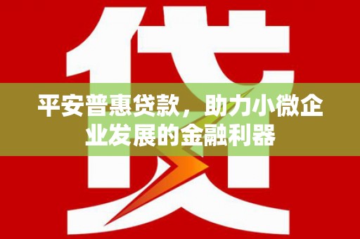 黔西平安普惠贷款，助力小微企业发展的金融利器