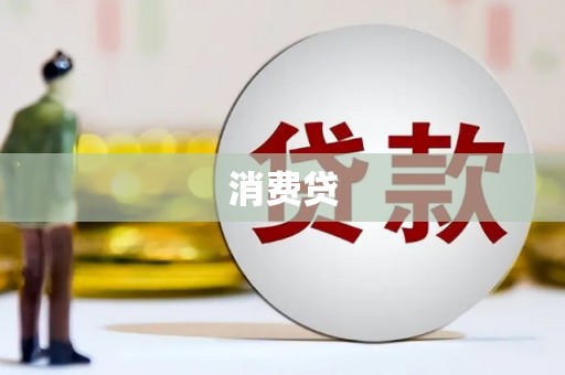 黔西消费贷