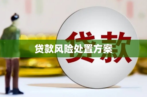 黔西贷款风险处置方案