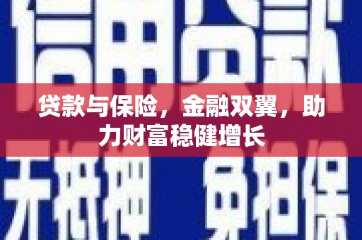 黔西贷款与保险，金融双翼，助力财富稳健增长