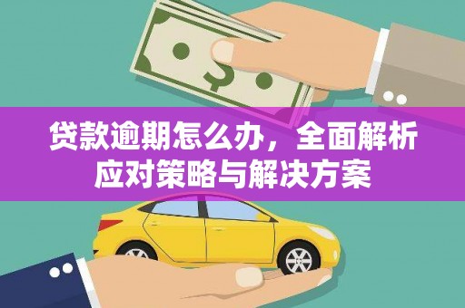 黔西贷款逾期怎么办，全面解析应对策略与解决方案