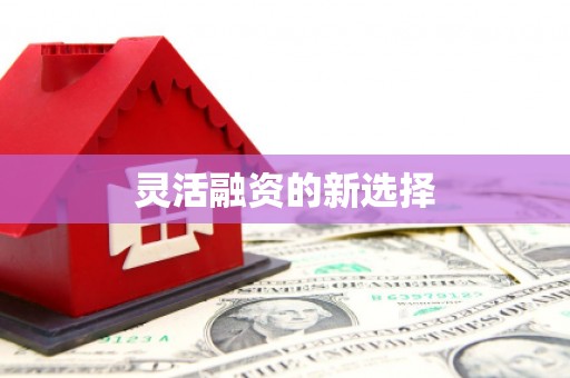 黔西灵活融资的新选择