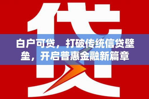 黔西白户可贷，打破传统信贷壁垒，开启普惠金融新篇章