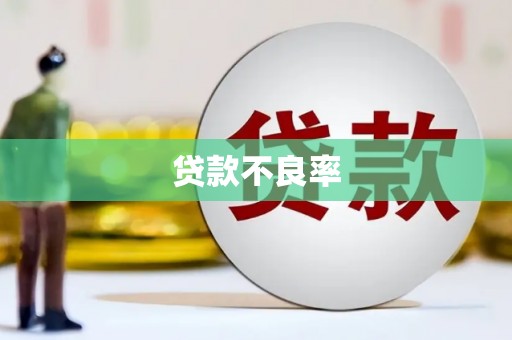 黔西贷款不良率