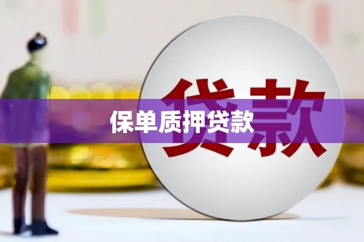 黔西保单质押贷款