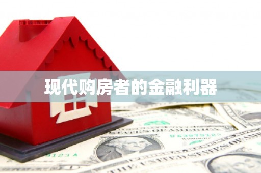 黔西现代购房者的金融利器