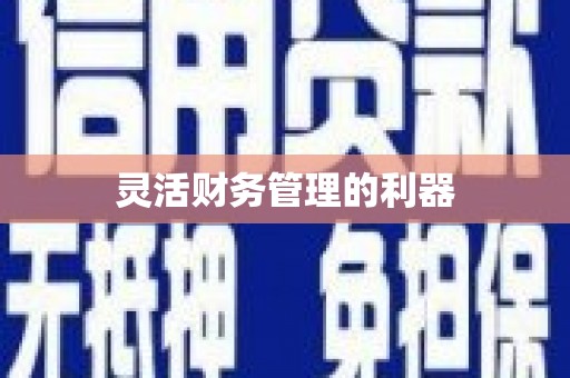 黔西灵活财务管理的利器