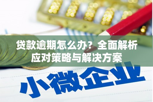 黔西贷款逾期怎么办？全面解析应对策略与解决方案