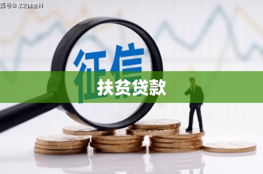 黔西扶贫贷款