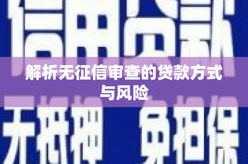 黔西解析无征信审查的贷款方式与风险