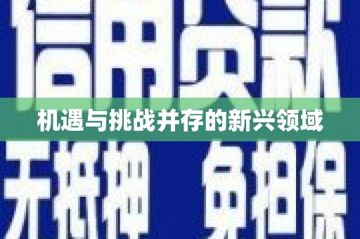 黔西机遇与挑战并存的新兴领域
