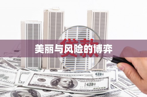 黔西美丽与风险的博弈